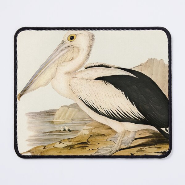 Item preview, Australian Pelican vintage painting designed and sold by Flamin' Galah.