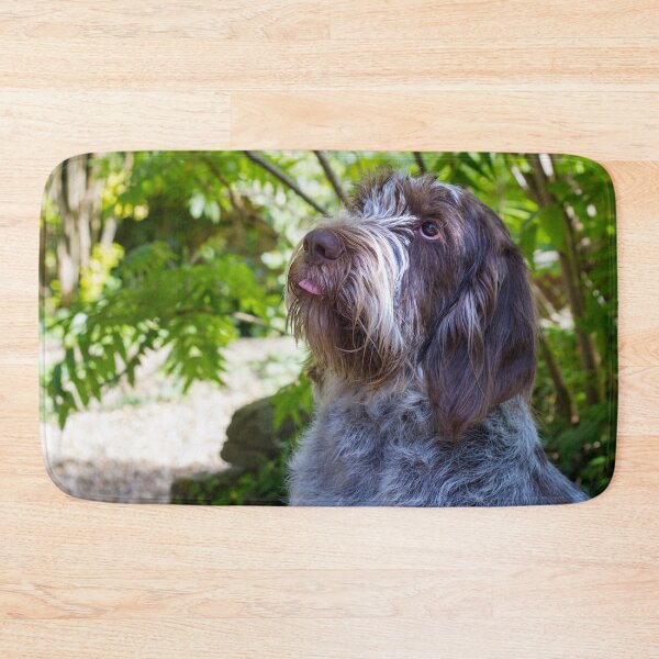 Item preview, Please place the treat on my tongue Spinone designed and sold by FOLK ART FUSION by heidiannemorris.