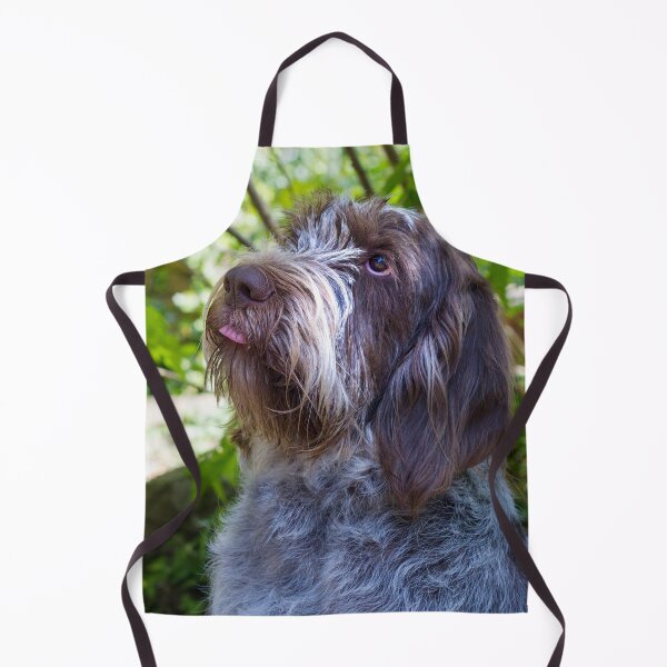 Item preview, Please place the treat on my tongue Spinone designed and sold by FOLK ART FUSION by heidiannemorris.