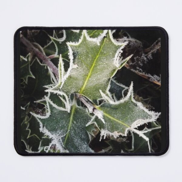 Item preview, Holly and frost designed and sold by Joanne Babb.
