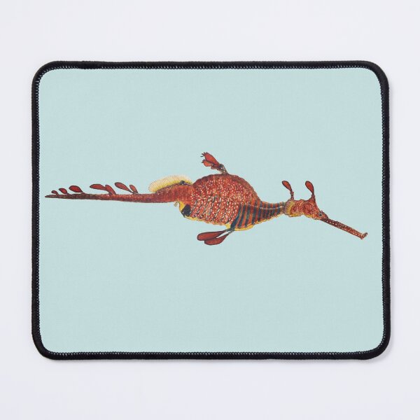 Item preview, Weedy Seadragon antique fish drawing designed and sold by Flamin' Galah.
