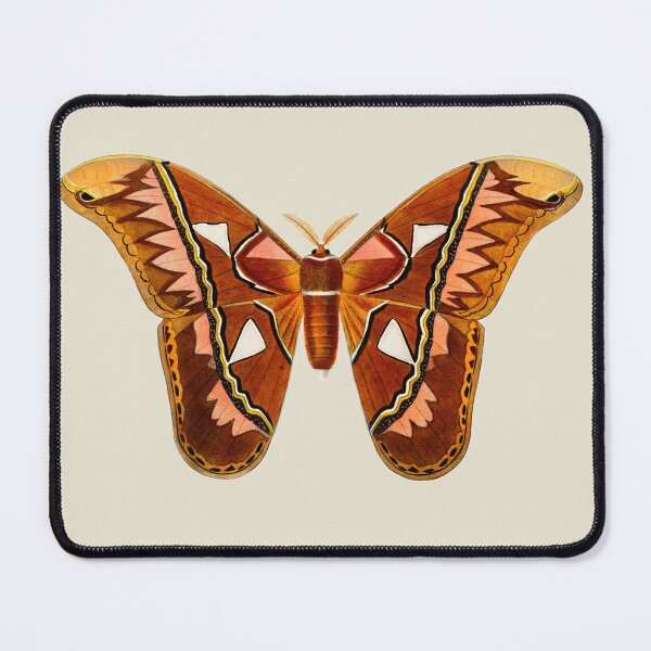 Item preview, Attacus Atlas Moth designed and sold by Flamin' Galah.