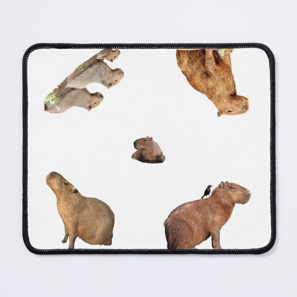 Item preview, 2nd Angry Capybara Stickers Package. Funny Capybaras For Every Capybara Lover Or Other Rodent Owner! - Cute designed and sold by AnimalStickers-.