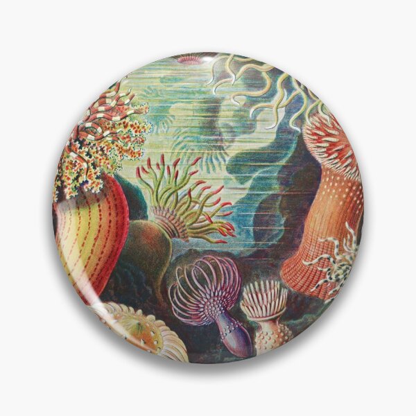 Item preview, Sea Anemone Scientific Illustration designed and sold by Flamin' Galah.