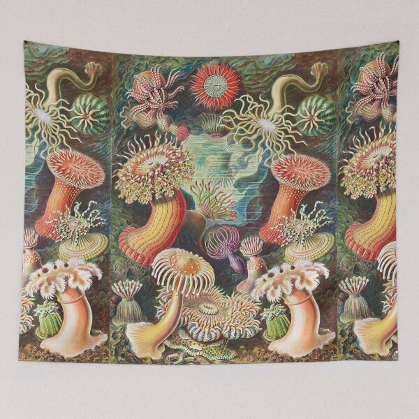 Item preview, Sea Anemone Scientific Illustration designed and sold by Flamin' Galah.