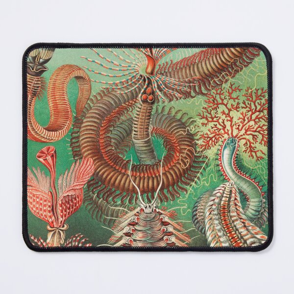 Item preview, Polychaete Worms designed and sold by Flamin' Galah.