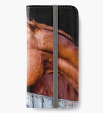 Equine 4 iPhone Wallet/Case/Skin