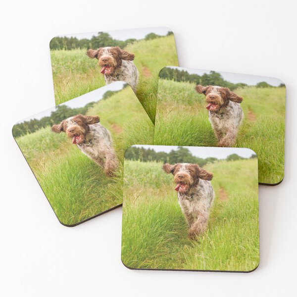 Item preview, Hunting for poppies Spinone designed and sold by FOLK ART FUSION by heidiannemorris.