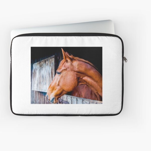 Item preview, Equine 4 designed and sold by MarkHelmPhoto.