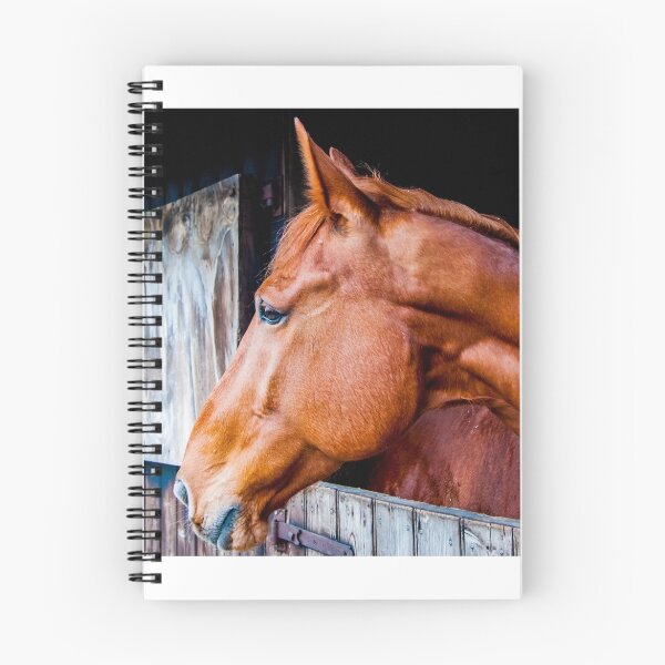 Item preview, Equine 4 designed and sold by MarkHelmPhoto.