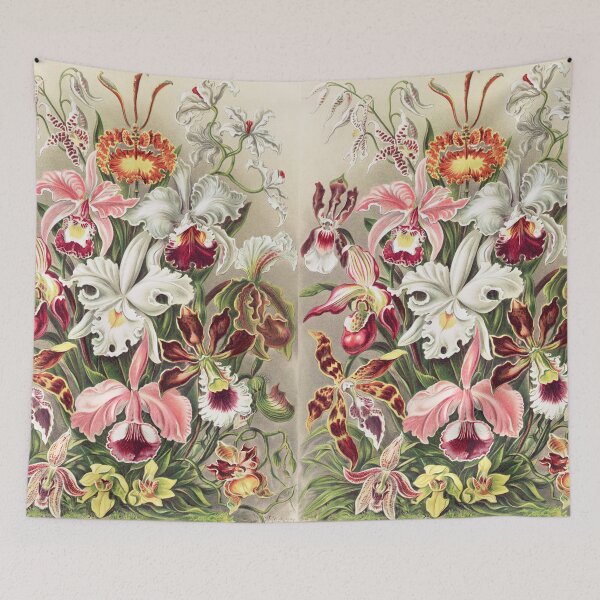 Item preview, Orchids Scientific Plate designed and sold by Flamin' Galah.