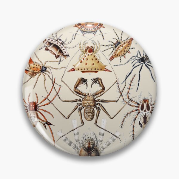 Item preview, Arachnida Scientific Plate designed and sold by Flamin' Galah.