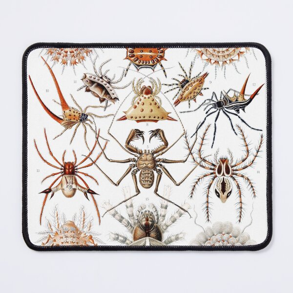 Item preview, Arachnida Scientific Plate designed and sold by Flamin' Galah.