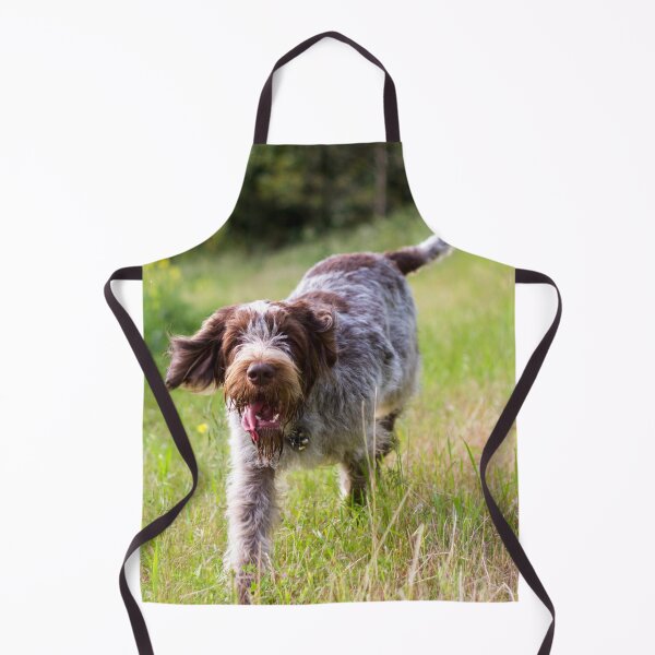Item preview, Tail in the air Spinone designed and sold by FOLK ART FUSION by heidiannemorris.
