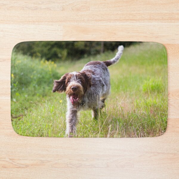 Item preview, Tail in the air Spinone designed and sold by FOLK ART FUSION by heidiannemorris.
