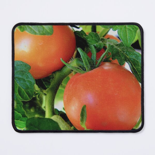 Item preview, Large Red Cherry Tomato designed and sold by branaghbel.