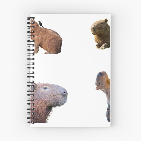 Item preview, 1st Cool Capybara Stickers Package. Funny Capybaras For Every Capybara Lover Or Other Rodent Owner! - Cute  designed and sold by AnimalStickers-.