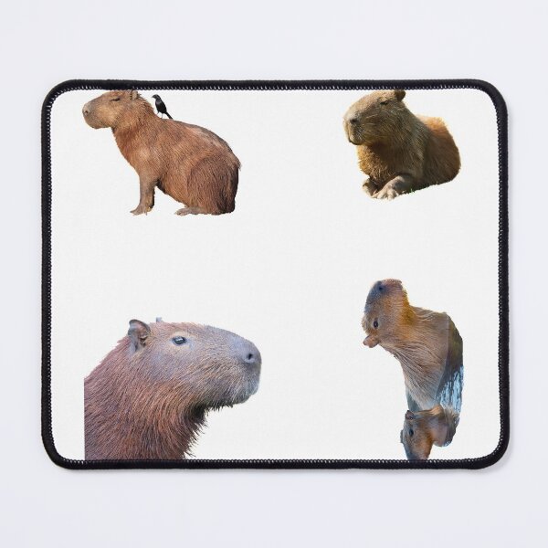 Item preview, 1st Cool Capybara Stickers Package. Funny Capybaras For Every Capybara Lover Or Other Rodent Owner! - Cute designed and sold by AnimalStickers-.
