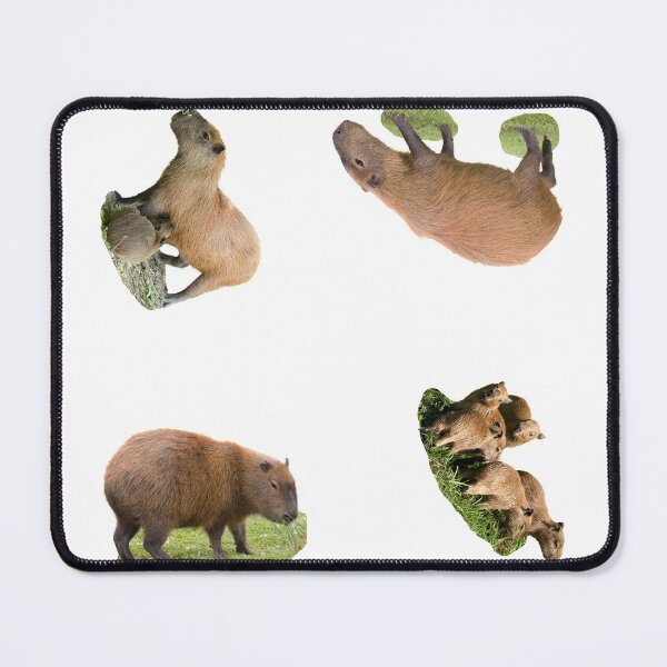 Item preview, 1st Eating Capybara Stickers Package. Funny Capybaras For Every Capybara Lover Or Other Rodent Owner! - Cute designed and sold by AnimalStickers-.