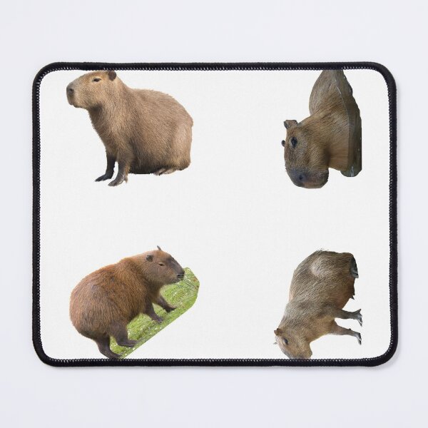 Item preview, 1st Focused Capybara Stickers Package. Funny Capybaras For Every Capybara Lover Or Other Rodent Owner! - Cute designed and sold by AnimalStickers-.