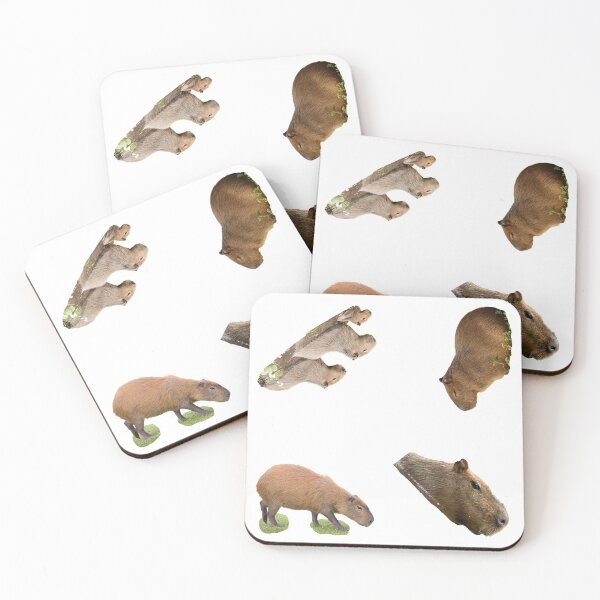 Item preview, 2nd Focused Capybara Stickers Package. Funny Capybaras For Every Capybara Lover Or Other Rodent Owner! - Cute  designed and sold by AnimalStickers-.