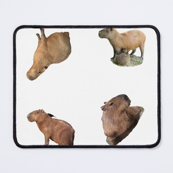 Item preview, 3rd Focused Capybara Stickers Package. Funny Capybaras For Every Capybara Lover Or Other Rodent Owner! - Cute designed and sold by AnimalStickers-.