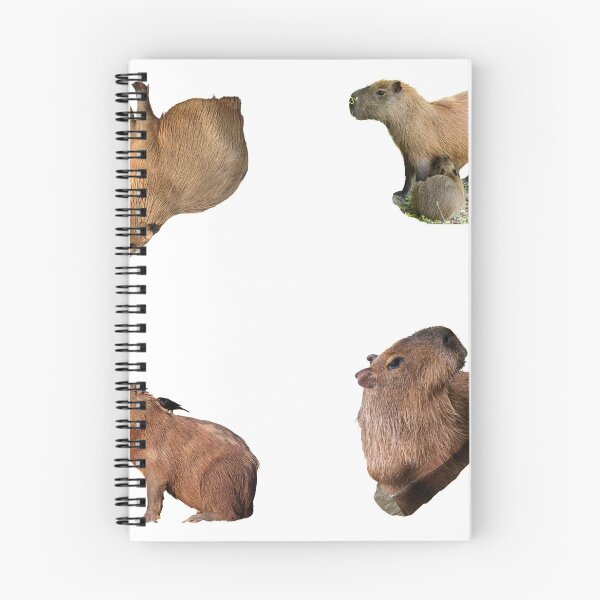 Item preview, 3rd Focused Capybara Stickers Package. Funny Capybaras For Every Capybara Lover Or Other Rodent Owner! - Cute  designed and sold by AnimalStickers-.