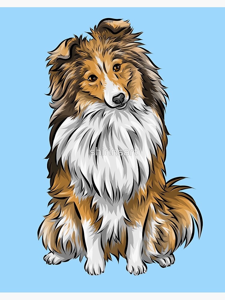 Sheltie art 2024