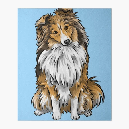 Candlelit shelties store