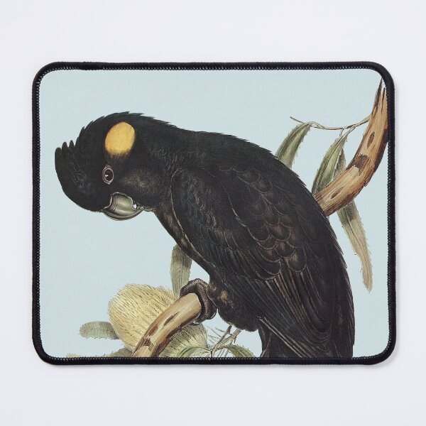 Item preview, Yellow-tailed Black Cockatoo (Calyptorhynchus funereus) designed and sold by Flamin' Galah.
