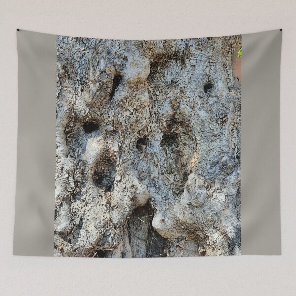 Item preview, Olive tree bark Crete collection designed and sold by orangerinka.