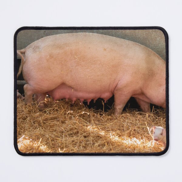 Item preview, Edith the British Lop  designed and sold by hawkie.