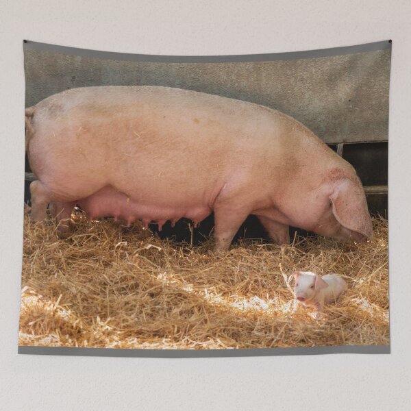 Item preview, Edith the British Lop  designed and sold by hawkie.