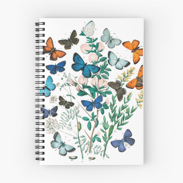 Item preview, Vintage butterfly scientific plate (with labels) designed and sold by Flamin' Galah.