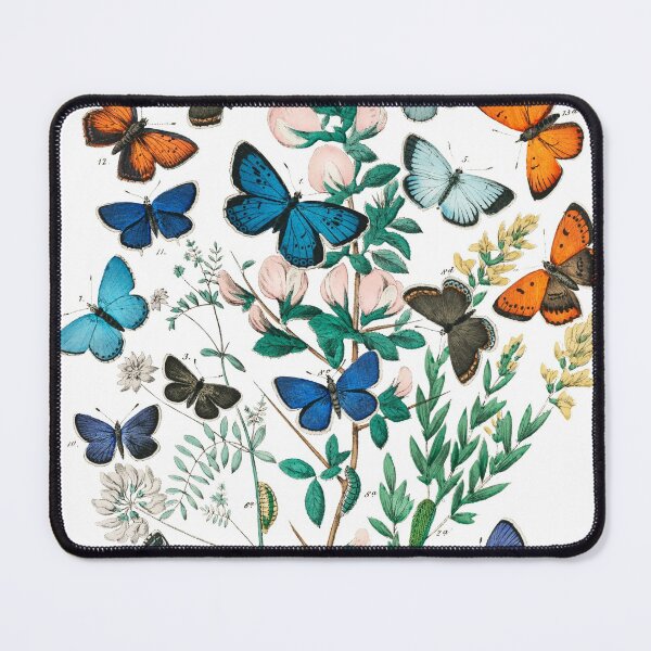 Item preview, Vintage butterfly scientific plate (with labels) designed and sold by Flamin' Galah.