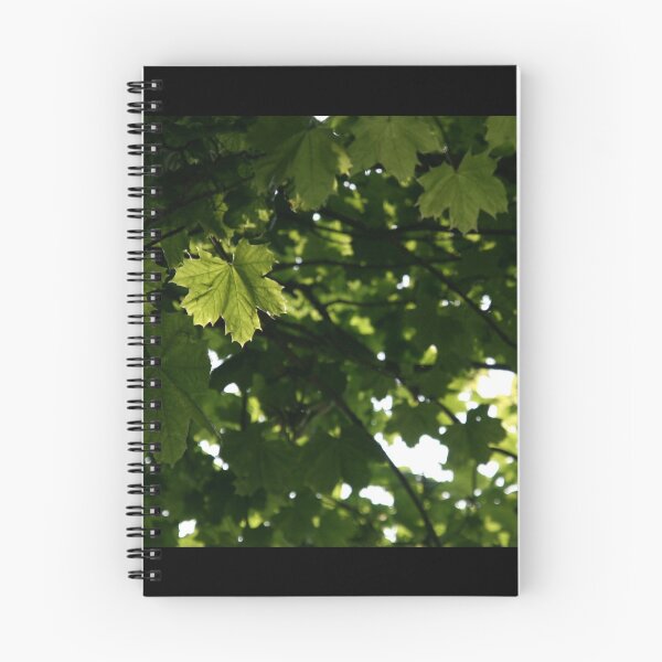 Item preview, A sunlit leaf designed and sold by Drekisdottir.