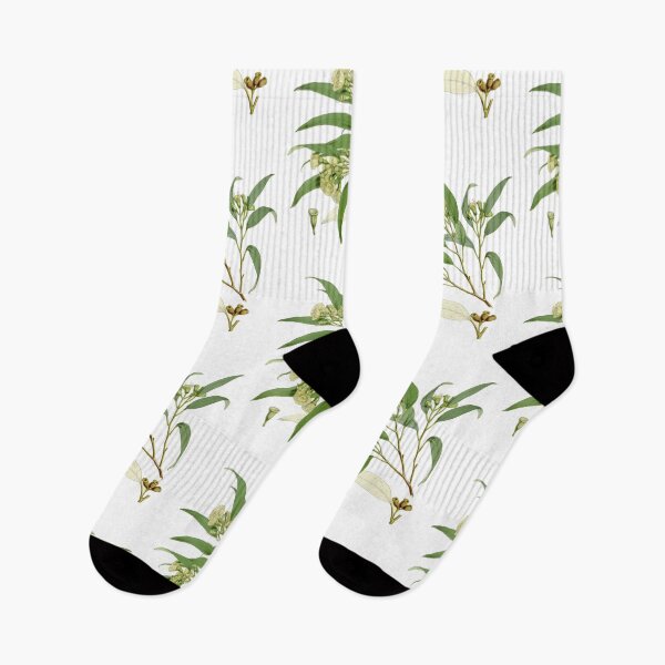 Item preview, Eucalyptus urnigera designed and sold by Flamin' Galah.