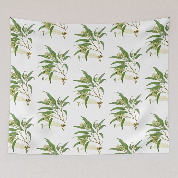Aperçu de l'œuvre Eucalyptus urnigera créée et vendue par Flamin' Galah.