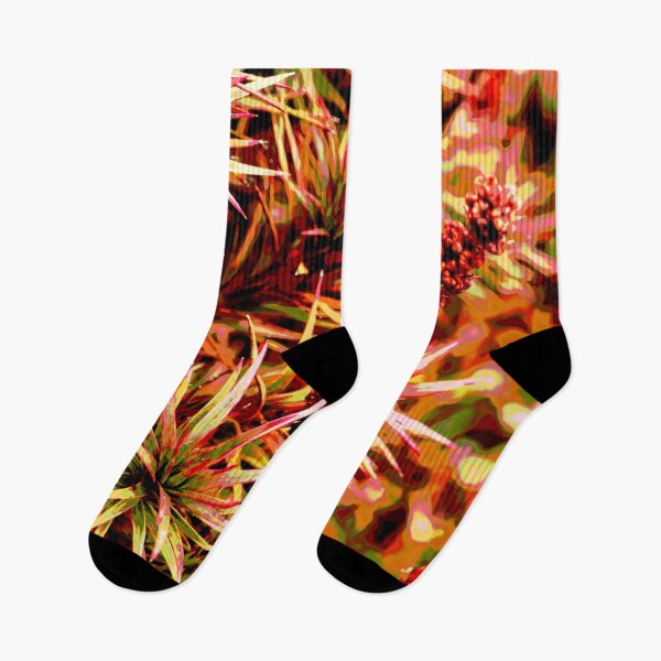 Item preview, Native Plant on the Summit of Mount Barrow, Tasmania designed and sold by Geoff Treagus.
