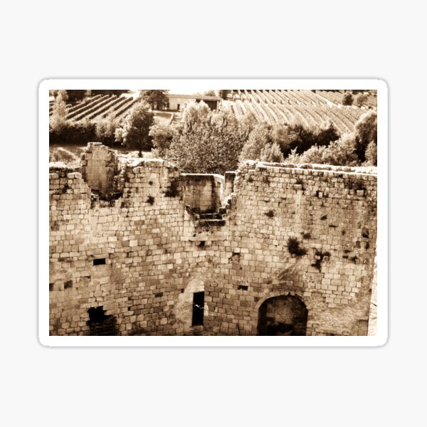 Bordeaux Ruins and Vineyard Sticker
