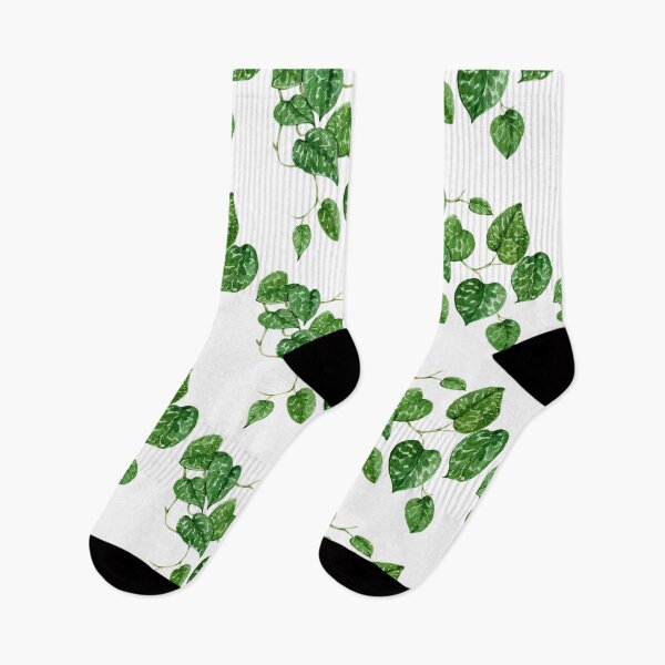 Item preview, Scindapsus plant/ pothos manjula designed and sold by PetitMartin.
