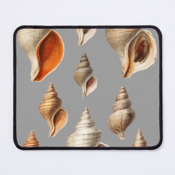 Item preview, Seashells designed and sold by Flamin' Galah.