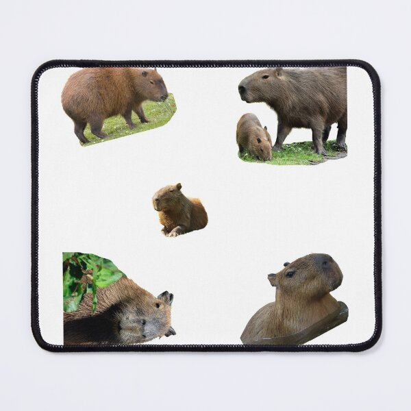 Item preview, 1st Happy Capybara Stickers Package. Funny Capybaras For Every Capybara Lover Or Other Rodent Owner! - Cute designed and sold by AnimalStickers-.
