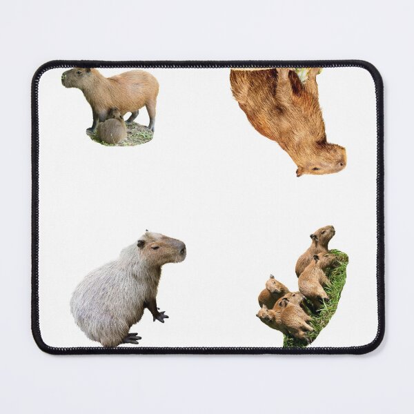 Item preview, 3rd Happy Capybara Stickers Package. Funny Capybaras For Every Capybara Lover Or Other Rodent Owner! - Cute designed and sold by AnimalStickers-.