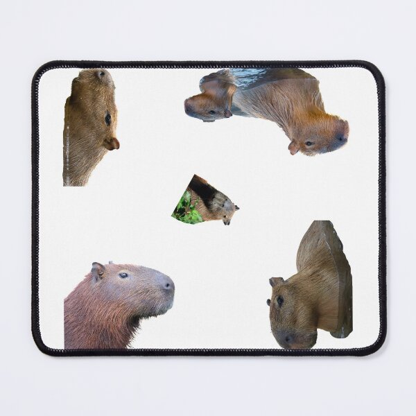 Item preview, 1st Head-Only Capybara Stickers Package. Funny Capybaras For Every Capybara Lover Or Other Rodent Owner! - Cute designed and sold by AnimalStickers-.