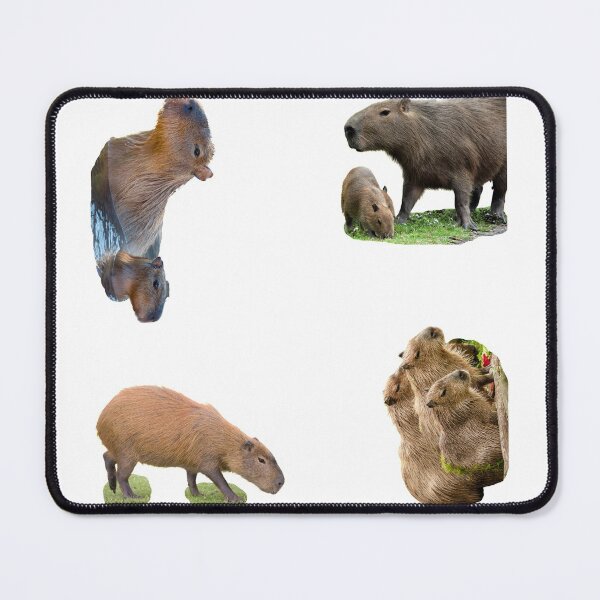 Item preview, 1st Little Capybara Stickers Package. Funny Capybaras For Every Capybara Lover Or Other Rodent Owner! - Cute designed and sold by AnimalStickers-.