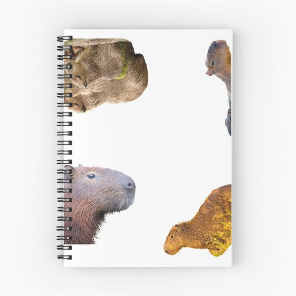 Item preview, 1st Majestic Capybara Stickers Package. Funny Capybaras For Every Capybara Lover Or Other Rodent Owner! - Cute  designed and sold by AnimalStickers-.