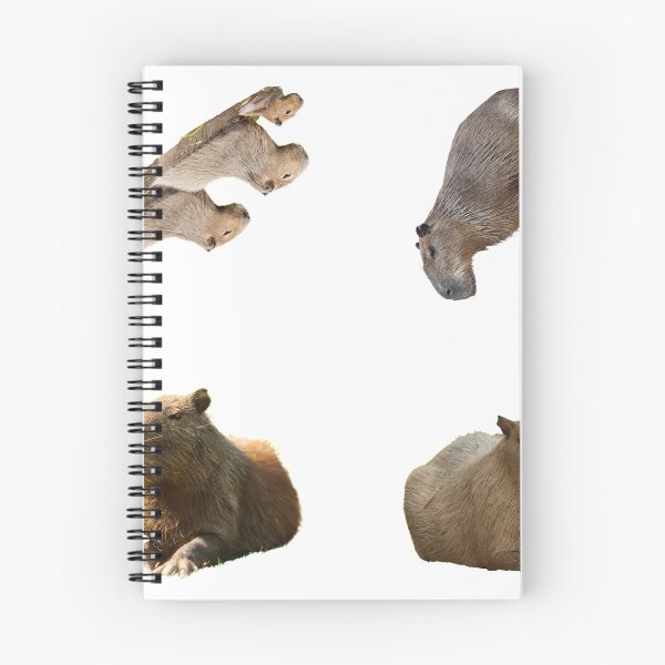 Item preview, 2nd Majestic Capybara Stickers Package. Funny Capybaras For Every Capybara Lover Or Other Rodent Owner! - Cute  designed and sold by AnimalStickers-.