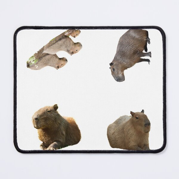 Item preview, 2nd Majestic Capybara Stickers Package. Funny Capybaras For Every Capybara Lover Or Other Rodent Owner! - Cute designed and sold by AnimalStickers-.