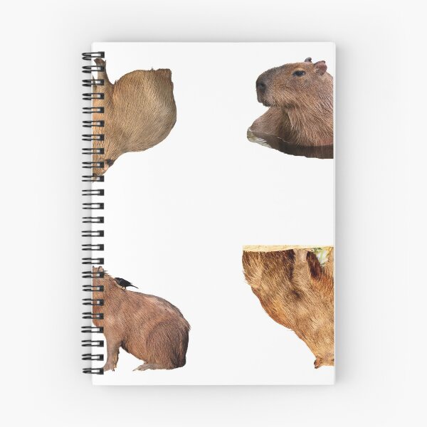 Item preview, 3rd Majestic Capybara Stickers Package. Funny Capybaras For Every Capybara Lover Or Other Rodent Owner! - Cute  designed and sold by AnimalStickers-.